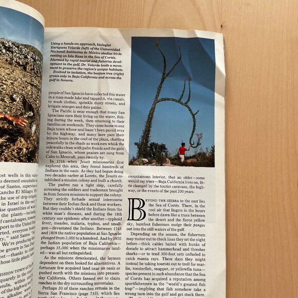 National Geographic Vintage Editions - 1977, 1989, 1999 + Bonus Historia! - Picture 6 of 11